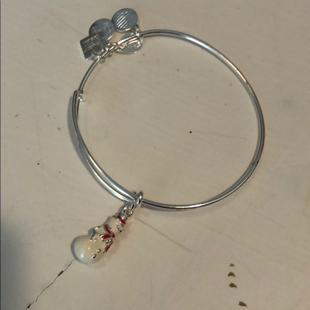 Alex and ani NEVER WORN